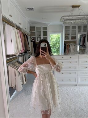 Polka Dot Sheer Puff Sleeve White Embroidered Mini Dress